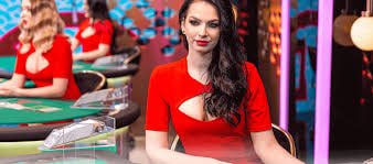 mb66vip cá cược thể thao
